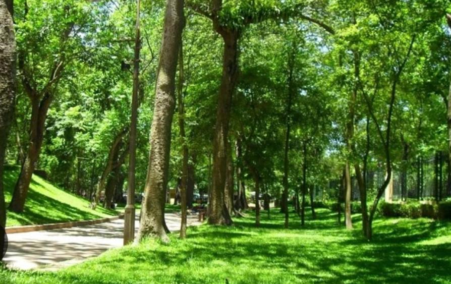 Da Tree Homestay Ханой Экстерьер фото